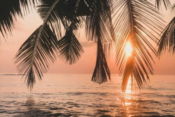 ahmed-saeed-3oY6iqvc2sg-unsplash