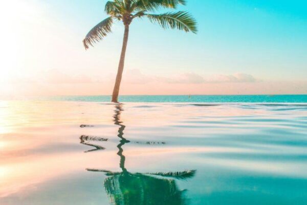 shreyas-sane-G9QPsPvw63g-unsplash